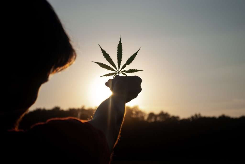 CBD bioavailability
